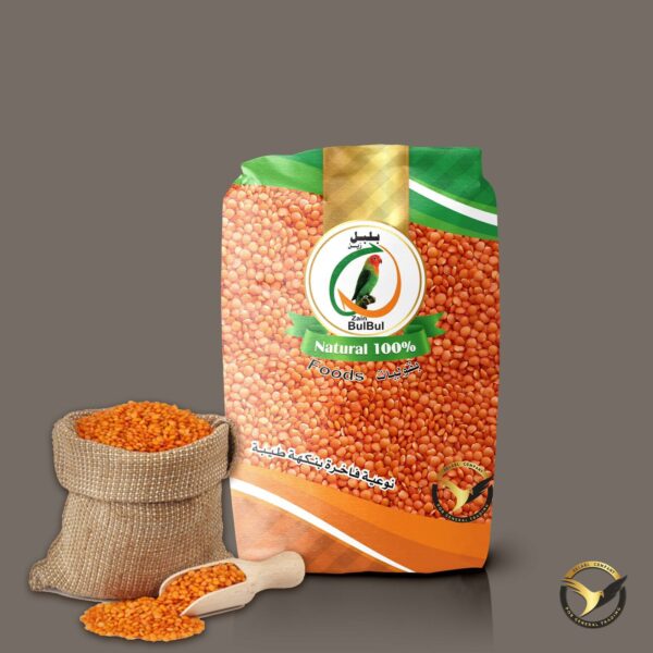 منتجات شركة بلابل